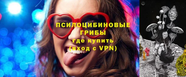 МДМА Богданович