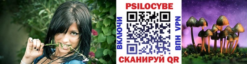 Галлюциногенные грибы мицелий  Кольчугино 